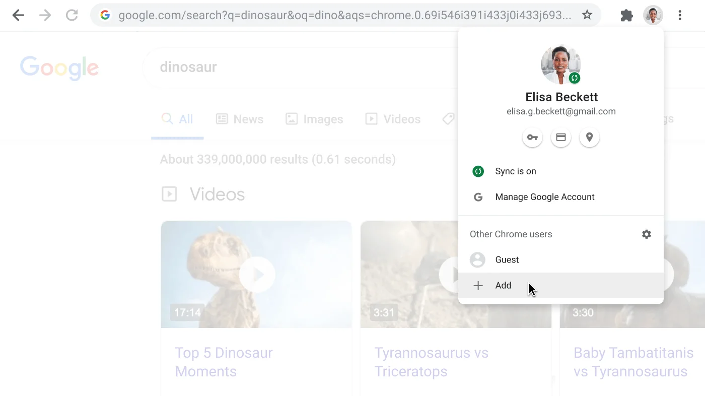 Chrome Browser window with open Profile dialogue box.