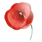 poppy_red_42.gif